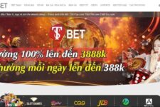 T8BET –  Nhà Cái Số 1 Châu Á – Link vào T8BET VIP Nhất 2022