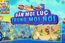 BinGo Club – Cổng game đổi thưởng sếp sòng trong lòng đại dương