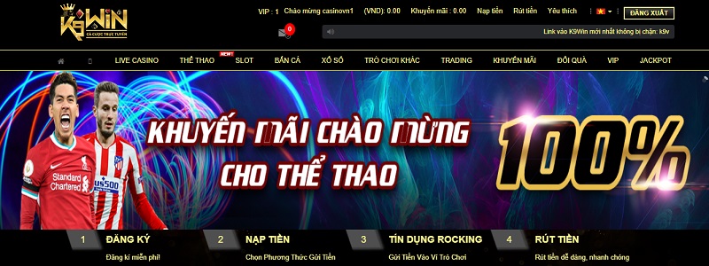 Giao diện K9VN
