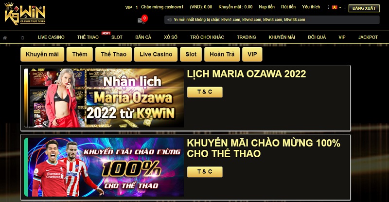 ƯU dãi K9VN
