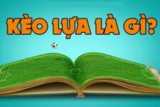 Kèo lựa là gì? Các cách đặt kèo lựa luôn thắng 