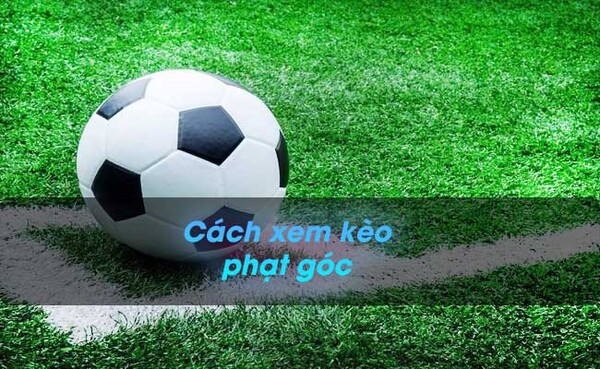 Cách xem kèo phạt góc đơn giản mà bất cứ ai cũng cần nắm được