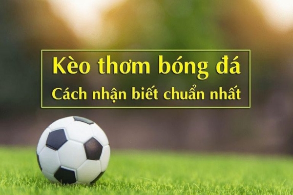 Dấu hiệu nhận biết kèo thơm cho tân thủ