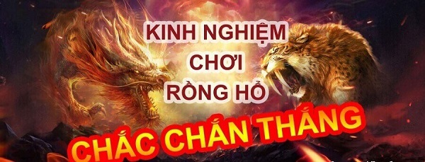 Kinh nghiệm khi chơi game Rồng Hổ