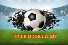 Odds Là Gì? Cách Đọc Hiểu Được Odds Trong Cá Cược Bóng Đá