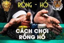 Rồng Hổ Giúp Anh Em Rinh Tiền Về Túi Nếu Biết Các Mẹo Sau Đây