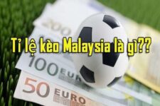 Tỷ Lệ Kèo Malaysia Là Gì? Hướng Dẫn Đọc Kèo Malaysia Đúng Cách