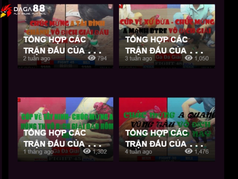 Cập Nhật Thông Tin Chung Về Đá Gà Thomo Tại Đá Gà 88 