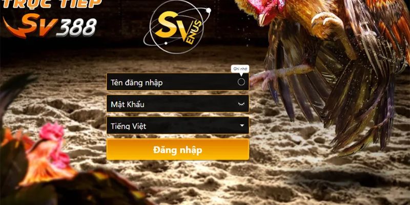 Đá Gà SV388 - Điểm Cược Trực Tuyến Uy Tín Số 1 Hiện Nay